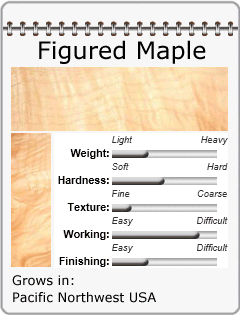 Figured Maple
