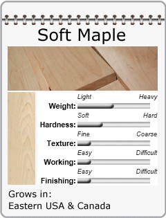 Soft Maple