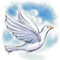dove