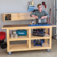 wall cabinet and workbench