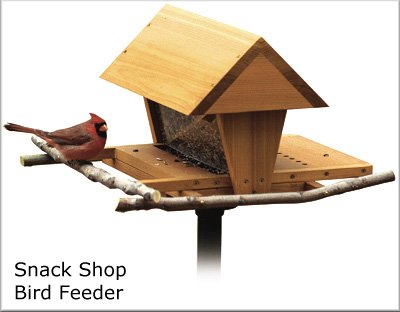 Building Birdhouses and Bird Feeders