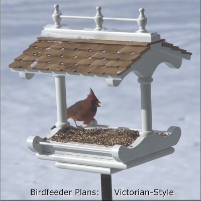 Bird Feeder Plans