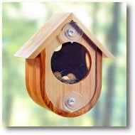 See-in Birdhouse Plan