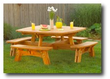 View Larger Image of the Fun-in-the-sun Picnic Table
