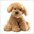 Stuffed Animals Plush