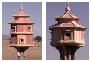 Bird Houses