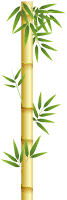 bamboo