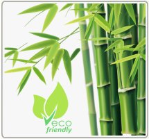 Bamboo