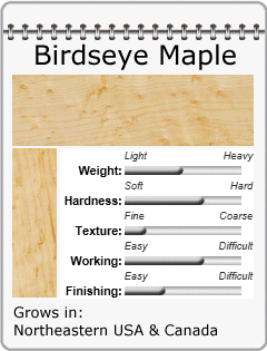 Birdseye Maple