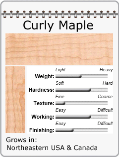 Curly Maple