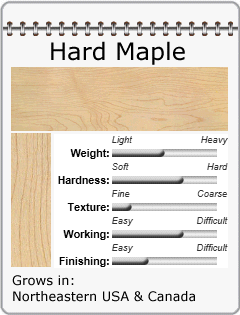 Hard Maple