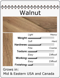 Walnut