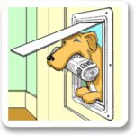 How to Install a Pet Door