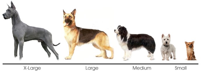 Dog Sizes