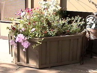 Planter 2