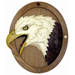 Eagle Head Pattern Cloth Sewing Buttons 6-Pack - DinoDirect.com