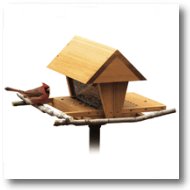 Snack Shop Bird Feeder Plan