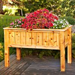 Raised Planter Box