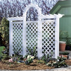 Arched Trellis