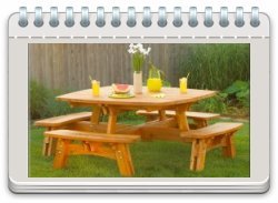 Fun-in-the-sun Picnic Table