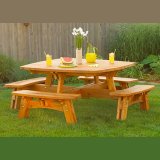 Fun-in-the-sun Picnic Table